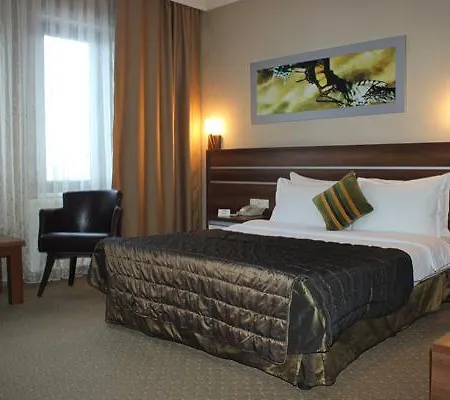 Hotel Lifos Kayseri